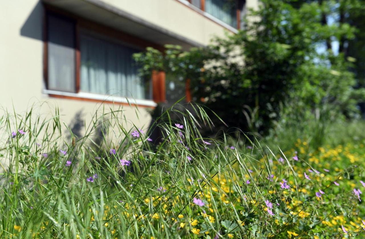 Hotel Domaine De La Sauge 쿠드레핀 외부 사진
