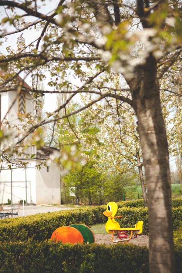 Hotel Domaine De La Sauge 쿠드레핀 외부 사진