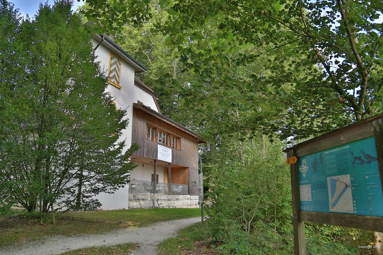 Hotel Domaine De La Sauge 쿠드레핀 외부 사진